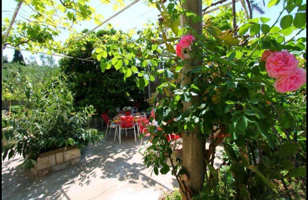 Ivan And Marica Guest House Лопуд Екстер'єр фото